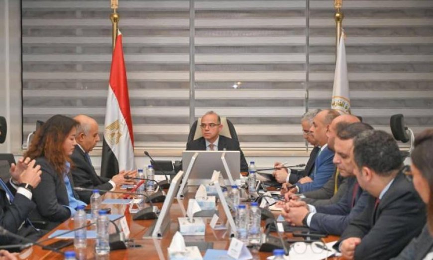 وزير الاستثمار يستعرض مع شركة صينية خطة إنشاء مجمع صناعي لإنتاج إطارات السيارات