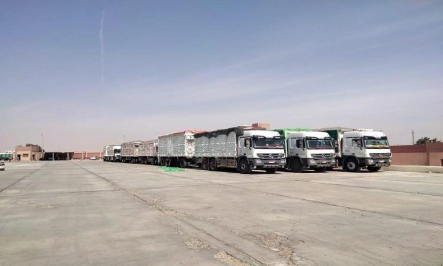 محافظ المنيا يعلن عن توريد أكثر من 80 ألف طن من القمح إلى الصوامع والشون