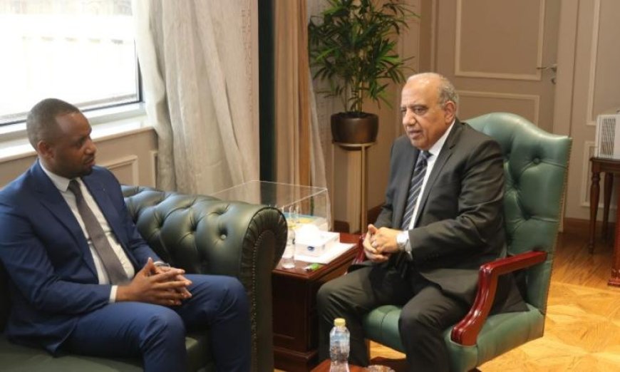 وزير الكهرباء يناقش مع نظيره الرواندي سبل تعزيز التعاون في مجال البنية التحتية