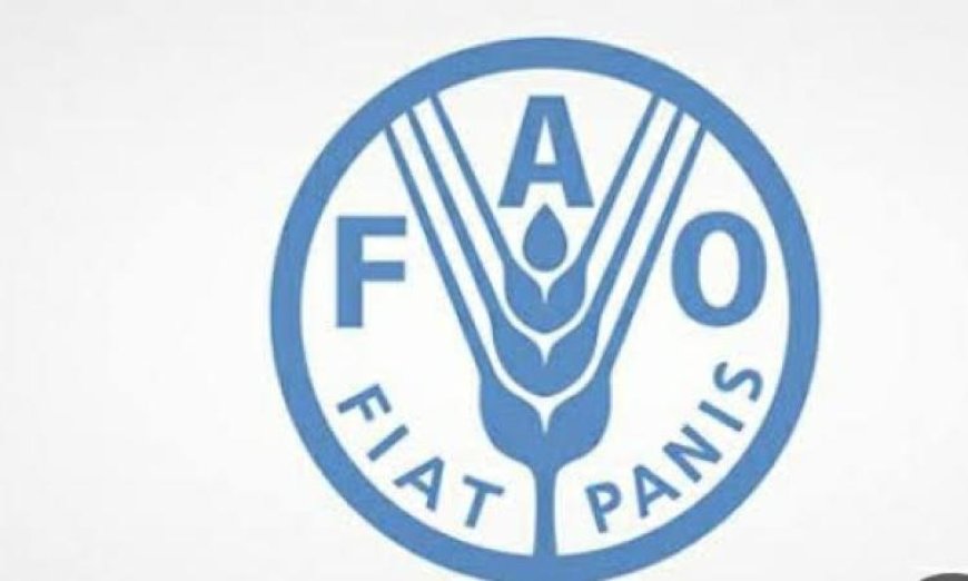 الفاو تعزز جهودها لدعم الدول المتضررة من الصراع الإيراني