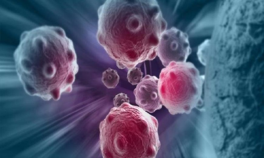 عرض ثلاثي الأبعاد يكشف كيفية تدمير الخلايا التائية القاتلة للسرطان