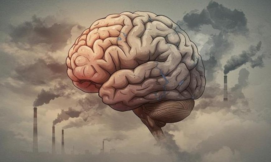 اكتشاف طريقة جديدة لاستعادة الذاكرة من خلال تثبيط بروتين مرتبط بمرض الزهايمر