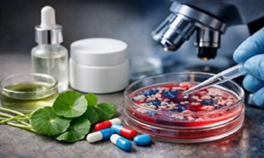 اكتشاف حمض جديد يقضي على البكتيريا المقاومة للمضادات الحيوية ويحارب الالتهابات