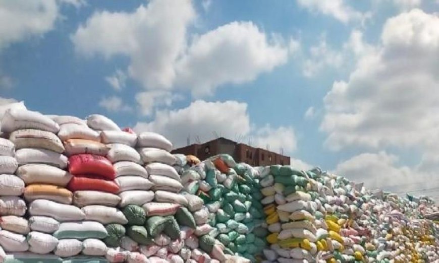 محافظة البحيرة تسجل توريد 19870 طن من القمح المحلي حتى صباح اليوم