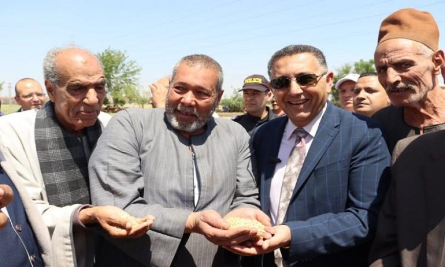 محافظ القليوبية يزور مدينة قها لمتابعة حصاد القمح موسم 2023