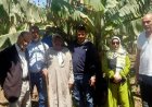 ملخص شامل لجهود وأنشطة معاهد ومعامل البحوث الزراعية في وزارة الزراعة