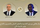 وزير الخارجية المصري يعبر عن دعم بلاده لمالي ويجدد إدانته للهجمات الإرهابية