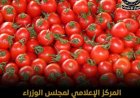 وزير الإعلام ينفي استخدام مادة الإثيريل لرش الطماطم من أجل تسريع نضجها