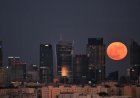 استعدوا لرؤية قمر الزهور يتلألأ في سماء العالم والأزرق يظهر بنهاية الشهر في حدث فلكي مذهل