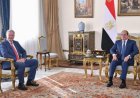 الرئيس السيسي يؤكد أهمية تعزيز التعاون مع منظمة التنمية الاقتصادية والرقمية