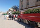 محافظ الفيوم يراقب استلام 10000 شجرة في إطار المبادرة الرئاسية لزراعة 100 مليون شجرة