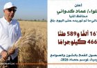 محافظ المنيا يعلن عن تجاوز توريد القمح 167 ألف طن مع بدء موسم 2026