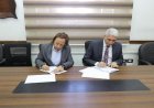 تمكين شباب المنيا نحو تحقيق التنمية المستدامة من خلال مبادرة جديدة