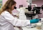 روسيا تطور بديلاً مبتكراً لجزيئات الذهب في علاج السرطان