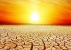 الصيف يبدأ مبكرا ويستمر لفترة أطول بسبب تغير المناخ