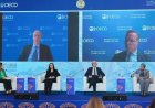 أمل عمار تؤكد نجاح مصر في تمكين المرأة اقتصادياً بالتعاون مع منظمة التعاون والتنمية الاقتصادية OECD