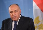 رئيس خارجية النواب يؤكد أن زيارة ماكرون تعزز قوة وعمق العلاقات المصرية الفرنسية