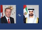رئيسا الإمارات وتركيا يناقشان عبر الهاتف مستجدات الأوضاع في المنطقة