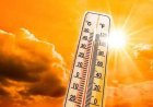 الأرصاد الجوية تحذر من طقس شديد الحرارة غدا والعظمى في القاهرة تصل إلى 39 درجة