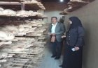 نائب وزير الصحة تواصل جولات ميدانية واجتماعات في الأقصر لتعزيز الصحة الإنجابية