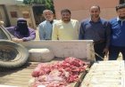 مصادرة 2 طن من اللحوم والدواجن والأسماك غير الصالحة للاستهلاك في المنوفية