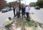 محافظ المنوفية يكشف عن آخر مستجدات تطوير الجزيرة الوسطى في طريق شبين الكوم – قويسنا