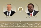 وزير الخارجية يناقش تعزيز العلاقات الثنائية مع كينيا وقضايا القارة الأفريقية