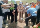 مدير أسوان يطلق حملة تشجير طريق السادات ضمن مبادرة أسوان بشبابها أجمل