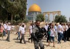 وزراء الخارجية العرب يرفعون أصواتهم ضد اقتحام المتطرف بن جفير المسجد الأقصى المبارك