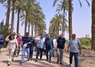 رئيس جامعة القاهرة يزور محطة التجارب والبحوث الزراعية في كلية الزراعة لتعزيز الابتكار الزراعي
