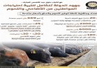 الوزراء يعلنون عن جهود شاملة لتلبية احتياجات المواطنين من الأضاحي واللحوم خلال العيد