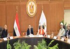 الأعلى للجامعات يوافق على افتتاح فرع جامعة القاهرة في إريتريا