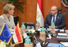 وزير الاستثمار يلتقي سفيرة الاتحاد الأوروبي لتعزيز آفاق الشراكة الاقتصادية