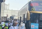 تدفق حافلات السياحة لنقل حجاج الشركات إلى صعيد عرفات يواصل زخمه بصور مبهرة