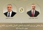 وزير الخارجية يتناول هاتفياً مع نظيره التركي سبل تهدئة التوترات الإقليمية