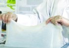 إنتاج بلاستيك حيوي مبتكر من السليلوز البكتيري لتعزيز الاستدامة البيئية