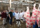 محافظ الجيزة يؤكد استعداد 23 مجزرًا لاستقبال الأضاحي خلال عيد الأضحى