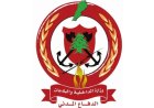 الدفاع المدني اللبناني يحقق إنجازا في إجلاء 29 مواطنا من الدوير والنبطية