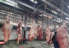 الزارعة تقدم 10172 أضحية مجانية للمواطنين في المجازر الحكومية خلال أول أيام العيد