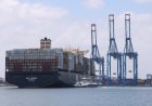 الموانئ المصرية تسجل استقبال 17.2 ألف سفينة وتداول 11.1 مليون حاوية في 2025