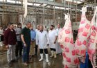 الزراعة تكشف عن ذبح 11719 أضحية بالمجازر الحكومية بالمجان للمواطنين