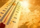 الأرصاد تحذر من ارتفاع درجات الحرارة غدا مع ليالي معتدلة في معظم المناطق