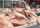 الجيزة تحقق نجاحا كبيرا بضبط 10 أطنان من اللحوم والدواجن غير المطابقة للمواصفات