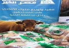 محافظ المنيا يكشف توزيع لحوم الأضاحي على أكثر من 30 ألف أسرة في المحافظة