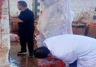 الزراعة تعلن عن ذبح 35514 أضحية مجانية للمواطنين في المجازر الحكومية خلال عيد الأضحى