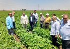 زيارة ميدانية لوزارة الزراعة لمحطات التجارب البحثية في كفر الشيخ خلال عيد الأضحى المبارك