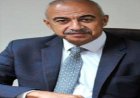 رئيس هيئة الطاقة المتجددة السابق يؤكد أن مرونة التشريعات كانت مفتاح تحول مصر نحو الاقتصاد الأخضر