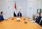 الرئيس السيسي يناقش استراتيجيات تحويل مصر إلى مركز تعليمي إقليمي ودولي رائد
