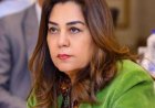 وزيرة التنمية المحلية تعلن انطلاق الأسبوع التدريبي الـ36 غدا في مركز سقارة للتدريب