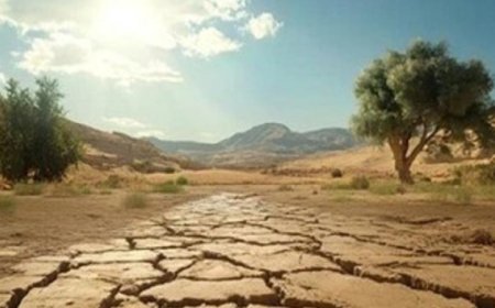 ابتكار تقنيات ثورية لاستصلاح الأراضي القاحلة من خلال استخدام البكتيريا الزرقاء